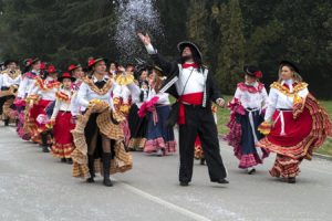 Carnevale 2007 - Mogliano Veneto (TV)