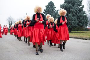 Carnevale 2008 - Vedelago (TV)