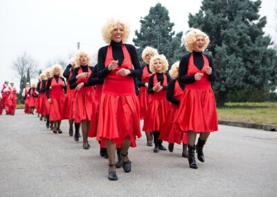 Carnevale 2008 - Vedelago (TV)