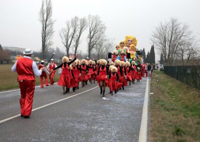 Carnevale 2008 - Vedelago (TV)