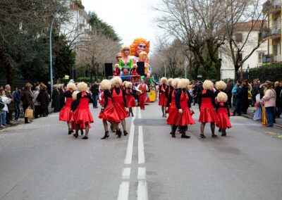 Carnevale 2008 - Bassano del Grappa (VI)
