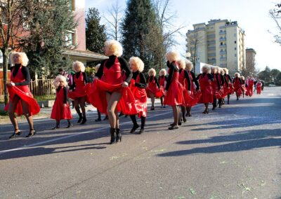 Carnevale 2008 - Mogliano Veneto (TV)