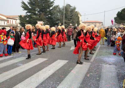 Carnevale 2008 - Trebaseleghe (PD)