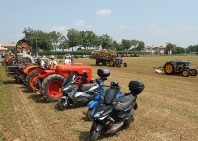 Gruppo III Armata: festa della trebbiatura