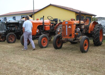 Gruppo III Armata: festa della trebbiatura