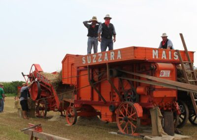 Gruppo III Armata: festa della trebbiatura
